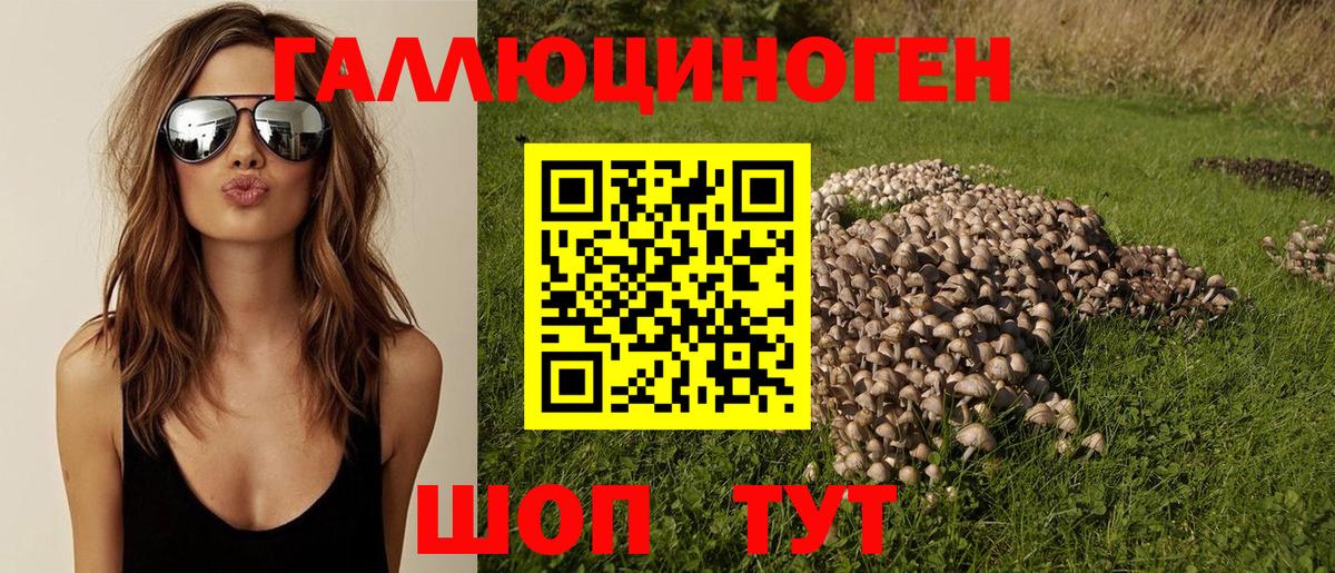 Тихорецк  Галлюциногенные грибы ЛСД  Вход с VPN 